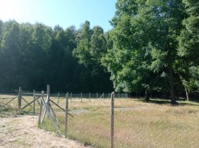 Parcela en Venta en Caburgua Pucón, Cautin