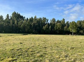 Foto Parcela en Venta en Maullín, Llanquihue - $ 14.500.000 - PAV140693 - BienesOnLine