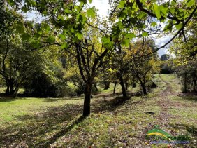 Terreno en Venta en  Puerto Montt, Llanquihue
