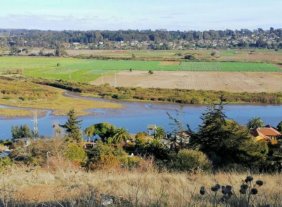 Disfruta Los Geranios