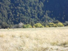 Foto Agricola en Venta en Rural, Futaleufú, Palena - $ 240 - AGV11279 - BienesOnLine