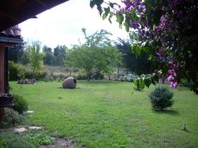 Foto Terreno en Venta en Los Angeles, Biobio - $ 150.000.000 - TEV17757 - BienesOnLine