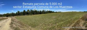 Parcela en Venta en Estaquilla Los Muermos, Llanquihue