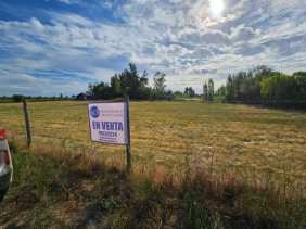 En venta parcela de 2 hectareas en Alto las Cruces