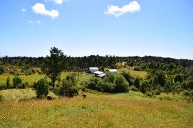 Terreno en Venta en Estaquilla Los Muermos, Llanquihue