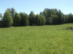Parcela en Venta en  Villarrica, Cautin