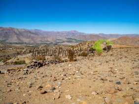 Parcela en Venta en Valle del Elqui Cerro Mamalluca, Elqui