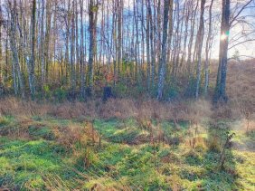 Parcela en Venta en  Villarrica, Cautin