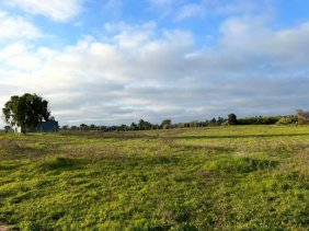 Parcela en Venta en  Litueche, Cardenal Caro