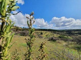 Parcela en Venta en  Marchihue, Cardenal Caro