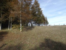 Parcela en Venta en  Villarrica, Cautin
