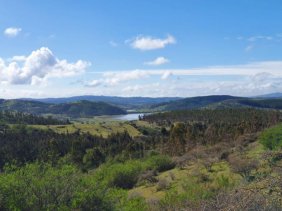 Parcela en Venta en  Marchihue, Cardenal Caro