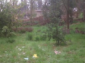 Foto Terreno en Venta en LA PUNTILLA, Machalí, Cachapoal - $ 13.500.000 - TEV11964 - BienesOnLine