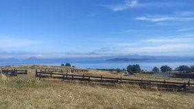 Sitio en Venta en Lago Ranco a 2 Km. de Futrono Lago Ranco, Valdivia