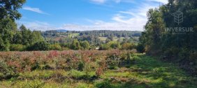Parcela en Venta en  Villarrica, Cautin
