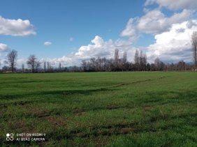 Lotes de 6200 mts a 1 km de limite urbano