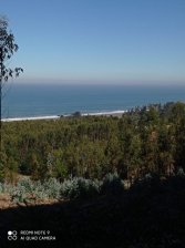 Foto Parcela en Venta en COLMUYAO, Cobquecura, Ñuble - $ 79.000.000 - PAV136944 - BienesOnLine