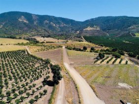 Nogales parcelas 5.000 m2 a 25 minutos de Maitencillo