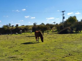 Foto Parcela en Venta en Marchihue, Cardenal Caro - $ 10.490.000 - PAV95450 - BienesOnLine