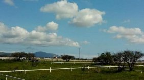 Oferta! Terrenos La Ligua 