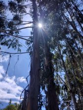 ¡La MEJOR oferta de terreno off-grid del MUNDO!