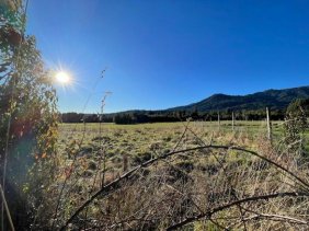 Terreno en Venta en  Puerto Montt, Llanquihue