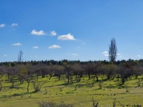 Foto Parcela en Venta en Litueche, Cardenal Caro - $ 10.490.000 - PAV95445 - BienesOnLine