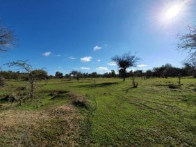 Foto Parcela en Venta en Marchihue, Cardenal Caro - $ 10.490.000 - PAV95449 - BienesOnLine