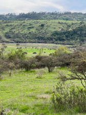 Parcela en Venta en  Litueche, Cardenal Caro