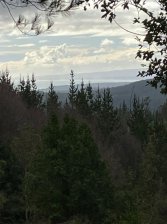 Parcela en Venta en Chovellen Pelluhue, Cauquenes