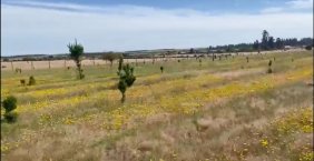 Foto Parcela en Venta en Litueche, Cardenal Caro - $ 19.990.000 - PAV127083 - BienesOnLine