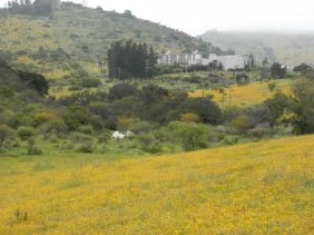 Terreno en Venta en la palmilla Casablanca, Valparaiso