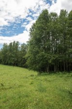 Parcela 5000 mts2 Hacienda Aguas de Maullín, Maullin