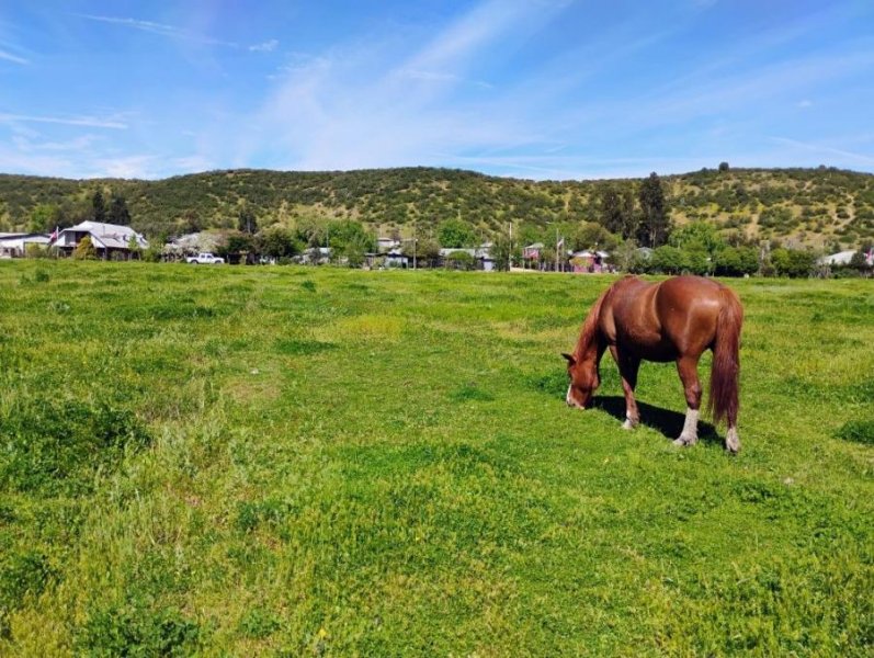 Foto Terreno en Venta en Caleuche, Pichidegua, Cachapoal - $ 55.000.000 - TEV153626 - BienesOnLine
