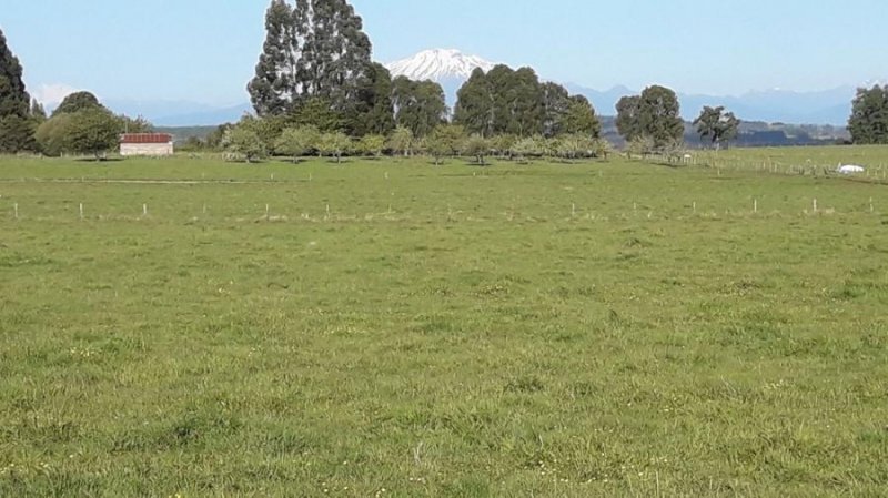 Parcela en Venta en Rural s/n Nueva Braunau, Llanquihue