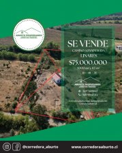 PARCELA CON CASA CAMINO A PANIMAVIDA 