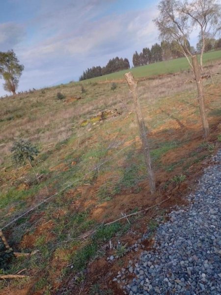 Parcela en Venta en Camino termas de Chillán Camino el cardal, Ñuble