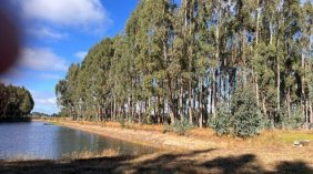 PARCELA, COND. ALTO FRUTILLAR, FRUTILLAR