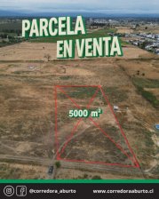 PARCELA DENTRO DE LINARES 