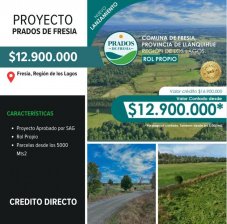 Foto Parcela en Venta en Sector Agua Fría, Fresia, Llanquihue - $ 12.900.000 - PAV148185 - BienesOnLine