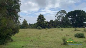 Parcela en Venta en  Puerto Montt, Llanquihue