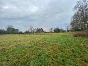 Parcela en Osorno ruta internacional 215.