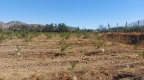Terreno en Venta en San Felipe Putaendo, San Felipe de Aconcagua
