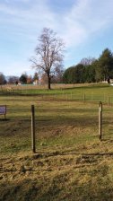 Parcela en Venta en  Villarrica, Cautin