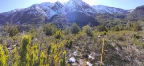 Foto Parcela en Venta en Fundo El Plan, Los Pellines, Ñuble - $ 18.000.000 - PAV136498 - BienesOnLine