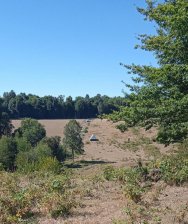Parcela en Venta en HUISCAPI Villarrica, Cautin