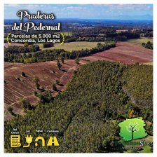 Parcela en Venta en  Frutillar, Llanquihue