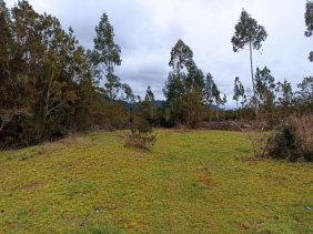 Parcela en Venta en Correntoso Puerto Montt, Llanquihue