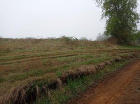 Terreno en Venta en  Cunco, Cautin