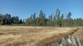 Parcela en Venta en  Peralillo, Colchagua